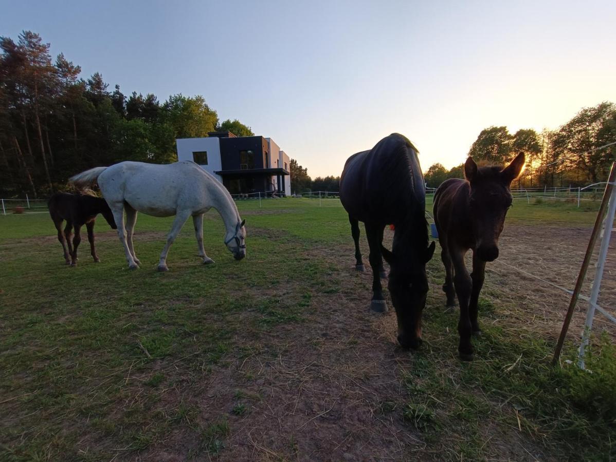 Modern Rancho - Apartamenty Nad Rzeka, Przy Stadninie Koni Kruszyna  Eksteriør bilde